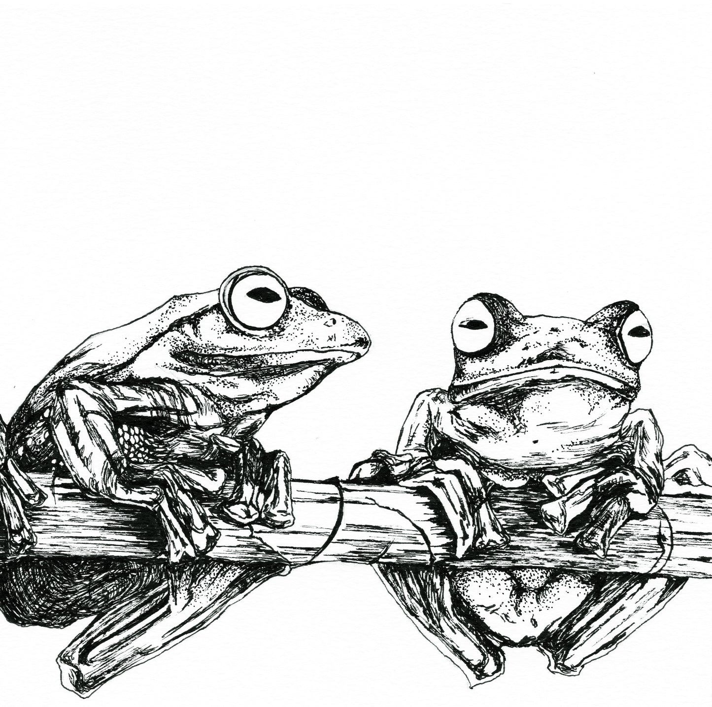 Frogs