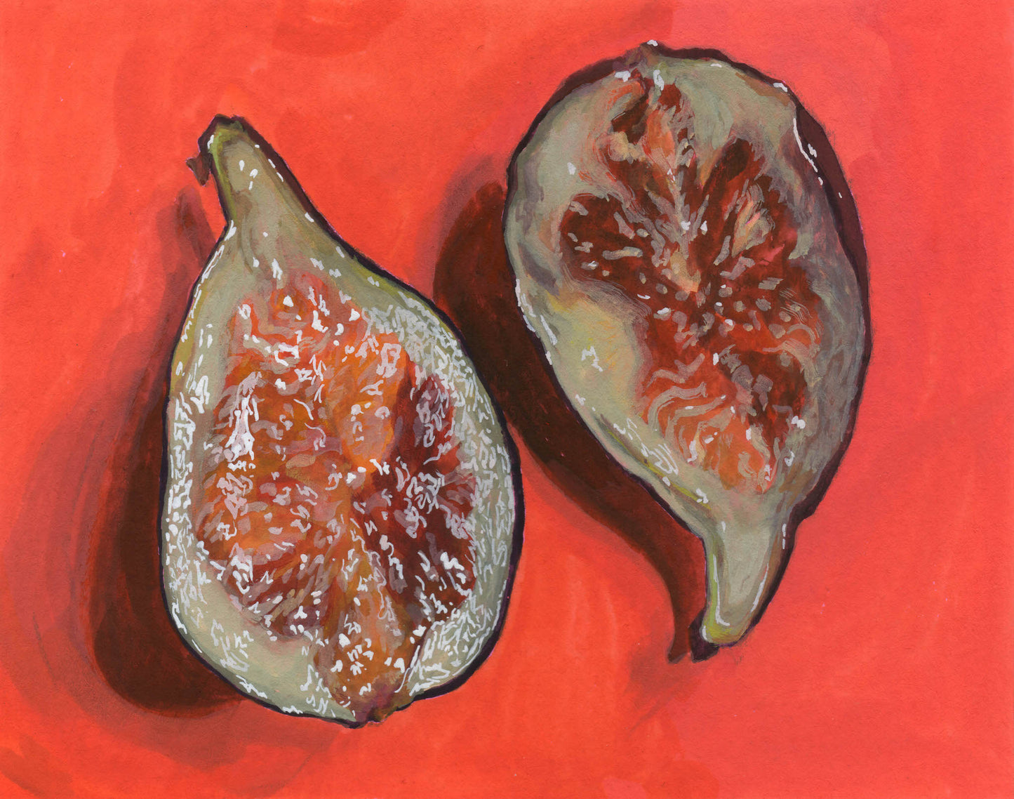 Fig Study