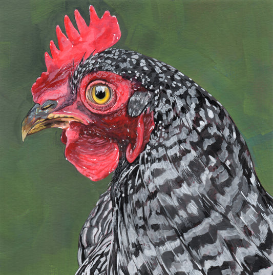 Our Favorite Chicken